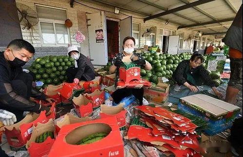 吃瓜群众图片真人,他们眼中的娱乐圈