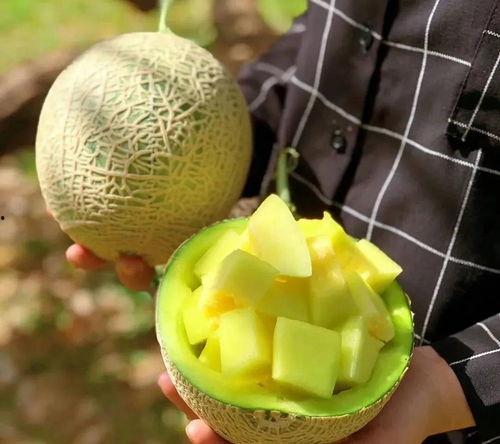 最近娱乐圈可以吃的瓜