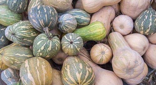 毒娱乐吃瓜,毒娱乐吃瓜背后的真相与内幕