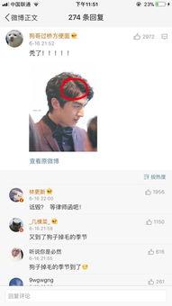 娱乐吃瓜橘子哥微博,娱乐圈最新爆料揭秘