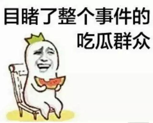 聊娱乐的吃瓜群众能力,吃瓜群众如何成为幕后推手