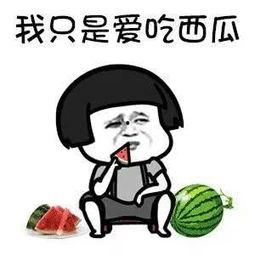 娱乐圈吃瓜内容是什么